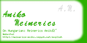 aniko meinerics business card